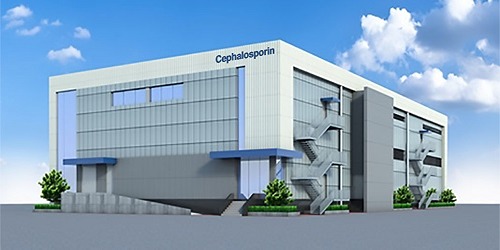 Cephalosporin Building