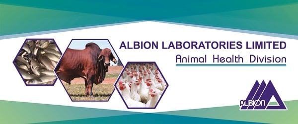 Veterinary-Division.jpg